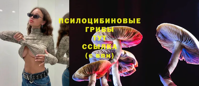 ОМГ ОМГ ССЫЛКА  Алдан  Галлюциногенные грибы MAGIC MUSHROOMS 