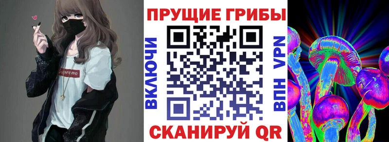 Псилоцибиновые грибы мицелий  ОМГ ОМГ ONION  Алдан 